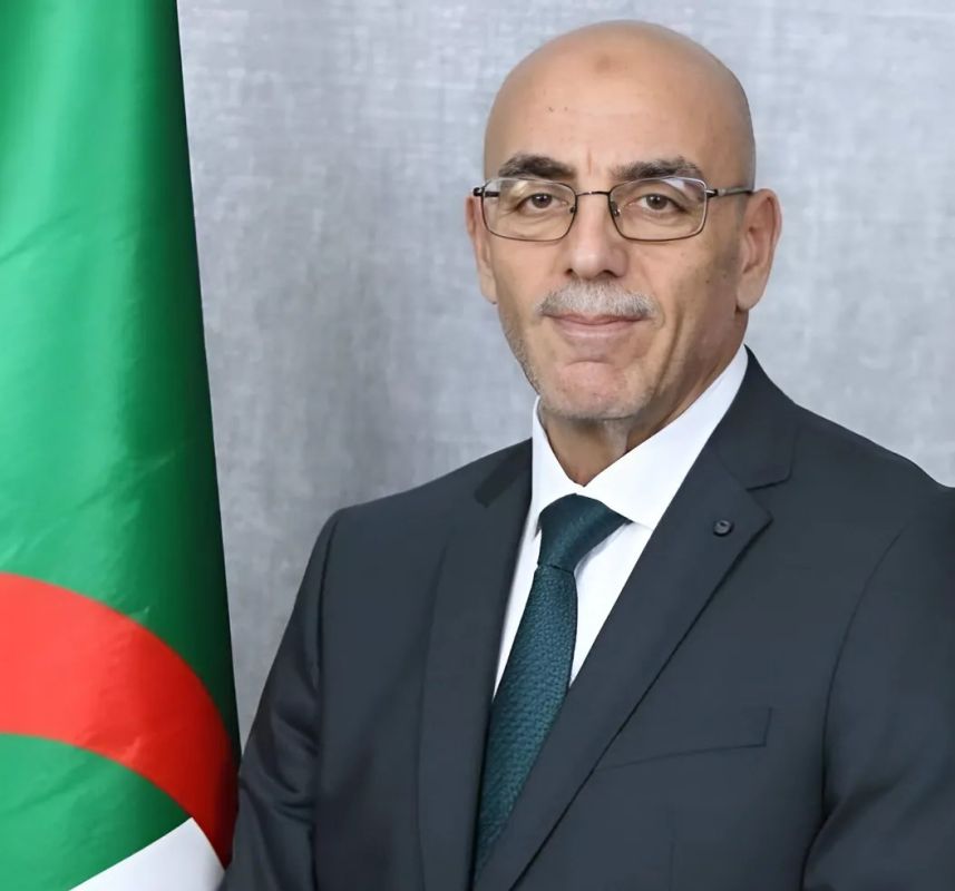 السباق الرئاسي الجزائري: ثلاثة مرشحين وأمة تترقب 6 السباق الرئاسي الجزائري: ثلاثة مرشحين وأمة تترقب