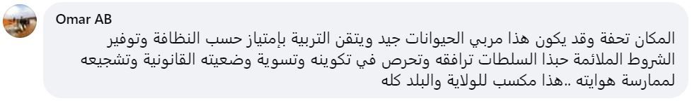 تريندينغ | رجل جزائري يربي أسد أفريقي نادر في بيته