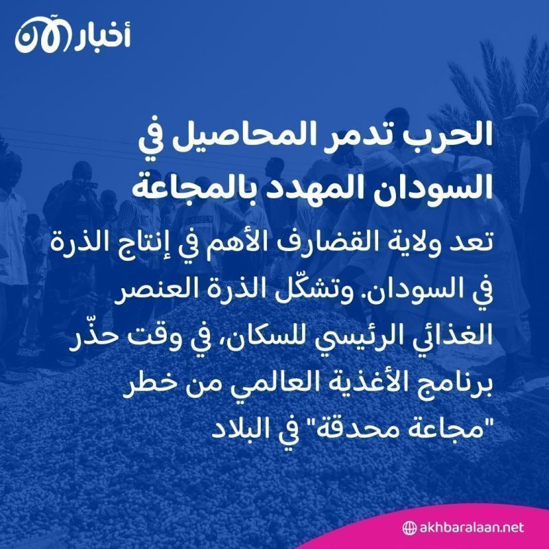 الحرب تلقي بظلالها على موسم الحصاد في السودان المهدد بالمجاعة