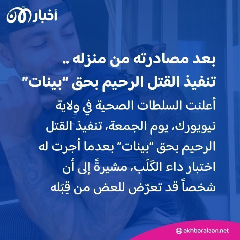 سنجاب شهير يشغل مواقع التواصل الاجتماعي.. فما علاقته بالإنتخابات الأمريكية؟