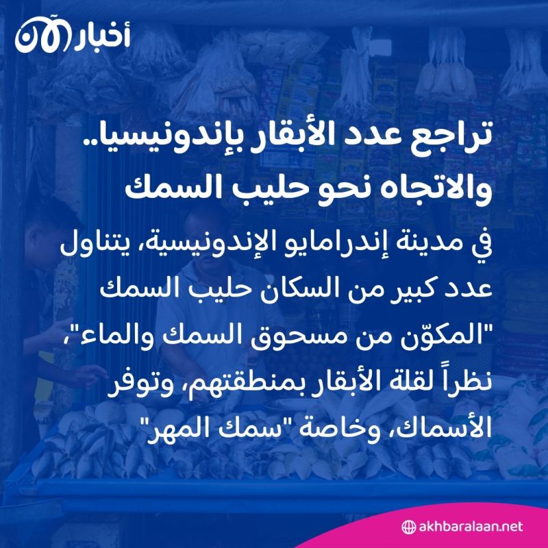 "مذاقه مثل الحليب العادي".. كيف تستغل إندونيسيا ثروتها البحرية لإنتاج حليب السمك؟
