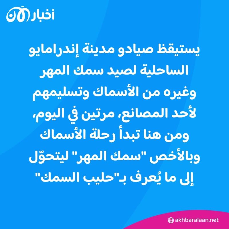 "مذاقه مثل الحليب العادي".. كيف تستغل إندونيسيا ثروتها البحرية لإنتاج حليب السمك؟